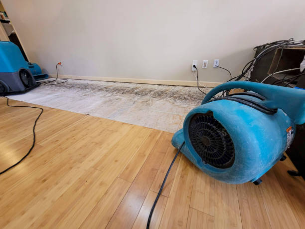 Professional Basement Flood Cleanup technician working in Richburg, SC